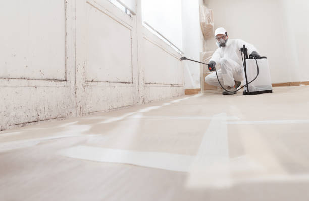 Post-remediation clearance in Foster